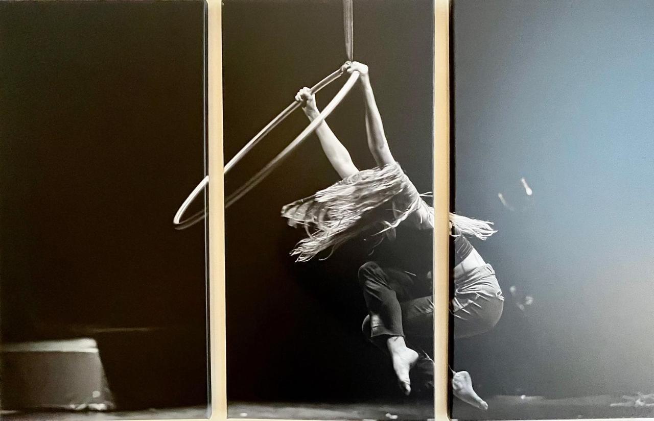 ** El Circo ** Daire Reims Dış mekan fotoğraf